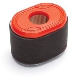 Briggs & Stratton 796970 Luftfilter