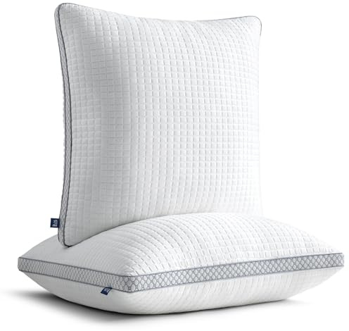 BedStory kopfkissen 40x40 mit abziehbarem Bezug,Verstellbare Faserfüllung Kissen mit reißverschluss, Hotel Kissen 2er Set aus 400g x 2 mikrofaser, Waschbares nackenkissen für Allergiker