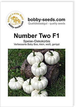 Kürbissamen Number Two F1 Portion
