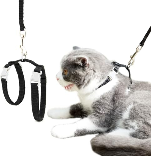 2 Stück Katzengeschirr mit Leine, Katzengeschirr Geschirr Weiche Katzengarnitur Ausbruchsicher Verstellbare Nylon Geschirre Katzenleine Katzenweste mit Sicherheitsschnalle für Kätzchen Welpe Kaninchen