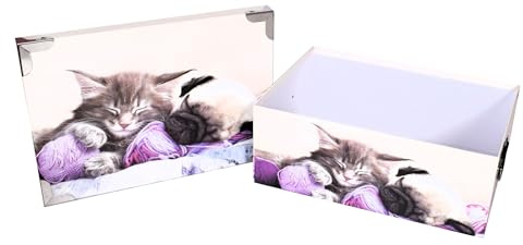 Gatto, scatole di immagazzinaggio con coperchio impilabile T: 38x26,5x14, 40x28,5x15, decorazione animali da compagnia, gattini, angoli e manici in metallo