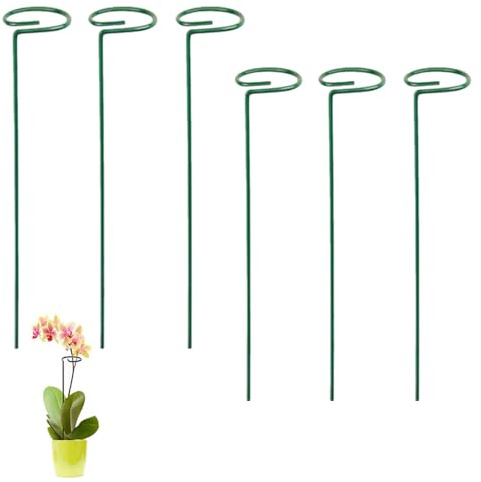 6 Pezzi 40CM Pali di Supporto per Piante,Paletto di Supporto a Stelo Singolo Diametro 6.5CM Anello di Supporto,giardino singolo stelo supporto palo Amaryllis pianta gabbia anelli di supporto