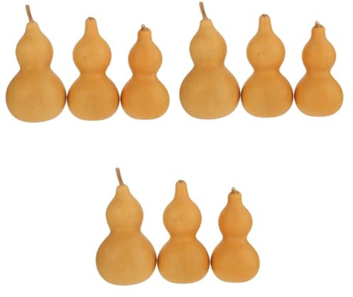 ULDIGI 9 Pièces Ornements de courge décor de courge Naturelle Bouteille de courge séchée Pumpkin Decoration Décoration de courge Gourde Ornement de courge Ornement de Bureau