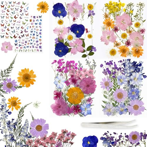 Soodyoow Set di 200 Fiori Secchi e Pressati, Fiori Secchi Decorativi in Resina per Resina, Candele, Bomboniere, Gioielli, Scrapbooking e Decorazioni