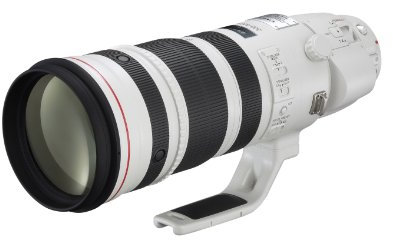 Canon EF 200-400mm f/4L IS USM Extender 1.4x White