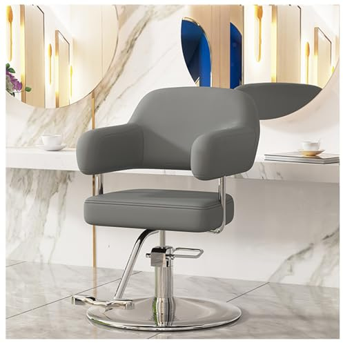 WKXTECZT Salongstol, Frisörstol, Hydraulisk Stol Stylingstol Höjdjusterbar, 360° Vridbar Styliststol, Beauty Spa Styling Frisörtatueringsutrustning,Gray,B