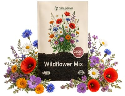 Grounding - Semi Miscuglio Fiori di Campo (Wildflower Mix) Multicolore, 2000+ semi - Effetto prato rustico “meadow”, attira impollinatori - Qualità Europea
