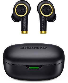 Bluedio Wireless Earbuds, P(Particle) Bluetooth Earphones in-ear Stereo Sound Headphones with Portable Charging Case, USB C,Total 24 Hrs Playtime,Bluetooth 5.0 Mini Headsets for Sport, Running,Gym