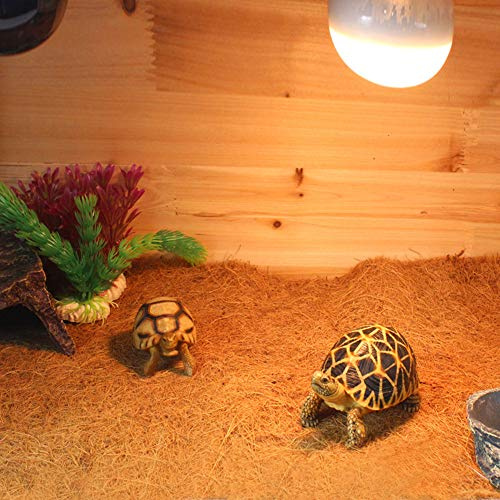Fabater Reptil Kokosfiber Matta Bottenmatta för ödla Terrarium - Naturlig Landskapsplanering Golvkudde, Absorberar Fukt och Ger en Hälsosam livsmiljö för Amfibier, Sköldpaddor