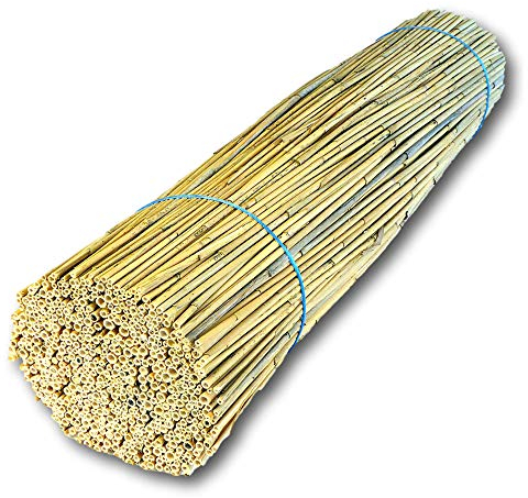 Hiss Reet BeeCasa by Schilfrohrhalme FEIN | Naturbelassener Bund | Insektenhotel & Bienenhotel Füllmaterial | Niströhren & Nisthülsen für Wildbienen