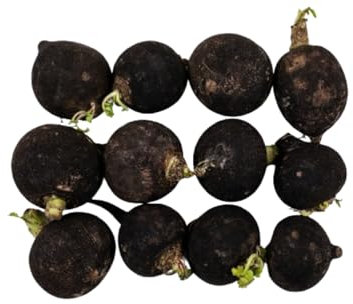 100 graines à semer - Le Grenier d'Abondance - RADIS d'hiver Noir Rond - Radix