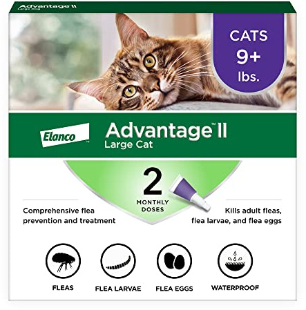 Advantage II Large Cat Vet-Recommended Flea Treatment & Prevention | Cats Over 9 lbs. | 2-Month Supply