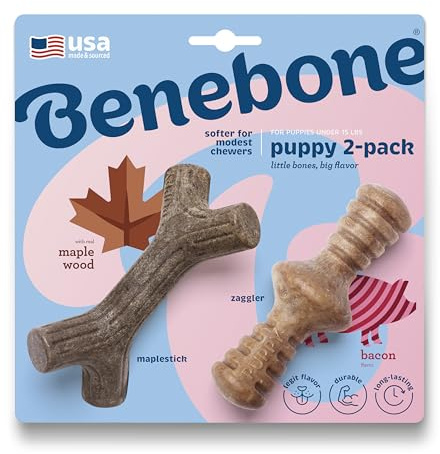 Benebone Welpen 2er-Pack Maplestick/Zaggler Kauspielzeug für sanfte Kauer, echter Speck & echtes Ahornholz, Tiny