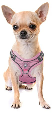 Katzengeschirr Set mit Leine ausbruchsicher - Antizug Geschirr mit Brustring Mesh Hundegeschirr Sicherheitsgeschirr für Katzen & kleine Hunde Pink XS