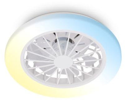 BRILONER - LED Deckenventilator mit Beleuchtung, Fernbedienung, Leiser DC-Motor, 5 Geschwindigkeiten, CCT, Dimmbar, Lampe mit Ventilator, LED Deckenleuchte, Deckenlampe Ventilator, 38 cm, Weiß