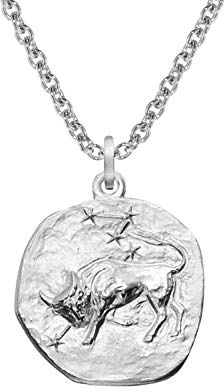 trendor Sternzeichen Stier mit Halskette 925 Silber Ø 16 mm Tierkreiszeichen Anhänger Sterlingsilber für Damen, Herren oder Kinder, 08441-05-45 45 cm