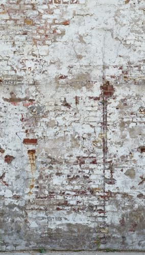 Livingwalls fleecetapet The Wall II stentapet 392381