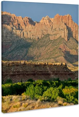 3dRose Flank of Kinesava above Rockville Basin, Zion NP, Utah. Museum Grade Canvas Wrap 16x20