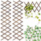 Rankgitter Holz Ausziehbar, 2 PCS Holz-Spalier, Garten-Rankgitter aus Holz, Rankhilfe, Expandable Plant Trellis Gartenzaun Holzzaun Deko Scherengitter, karbonisierte Farbe, 140 x 36 x 0.5 cm