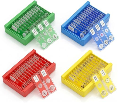 48 microscopi preparati in plastica,Accessori al microscopio,Microscopio vetrina,Pellicola stereomicroscopio per studenti illuminano l'istruzione,Con insetti,animali,fiori,piante, verdure