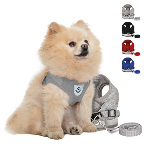 NEEZ Basic Geschirr für Katzen und kleine Hunde mit Leine | Super Bequeme Hundeweste | Ausbruchsicher und atmungsaktiv | Farbe: Grau Größe: S