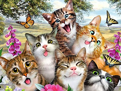 Bimkole 5D Diamond Painting Tillbehör Katt Blomma Bilder, Gör-det-själv Djur Diamond Painting Kit Full Rund Borr Måla Efter Siffror Målning Broderi Korsstygn Diamant Dekoration (30 X 40 cm)