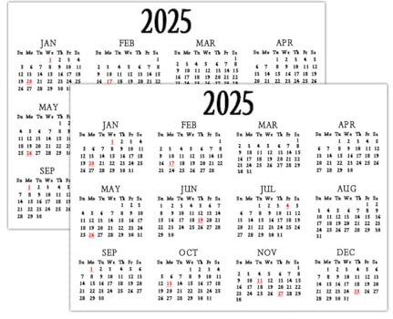 Adesivi per calendario 2025, 12,7 x 17,8 cm, rimovibili, per agenda mensile, strisce adesive per quaderni e diari (confezione da 4)