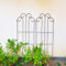 SCENDOR GARDEN 2er Set Schwarze Garten Rankgitter für Kletterpflanzen 114.3 cm H x 40,5 cm B, Eisen Pflanzenstützen für Kletterreben und Blumen, Metallgitter für Efeu, Gurken und Gemüse, Balkon