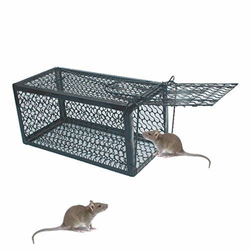 Skycabin Animal Live Cage Trap,Humane Mouse Trap,Mice Catcher for Rat,Rodent,Squirrel,Hamster and Small Rodent for Indoor or Outdoor Size 24 X 11.5 X 11.5 cm