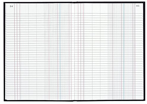 Le Dauphin 427613D – 1 Registro – Tamaño 34 x 22,5 cm – Estampado Diario – Papel interior 90 gramos – con directorio de fin – 600 páginas numeradas – Tapa dura de lona negra