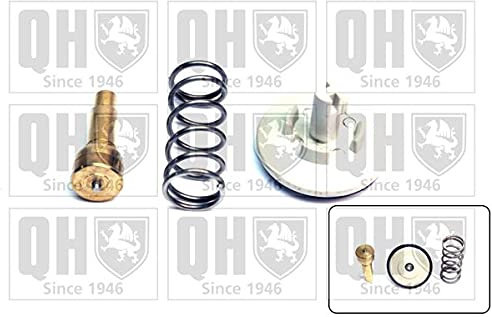 Quinton Hazell QTH731K-TEX Thermostat Kit