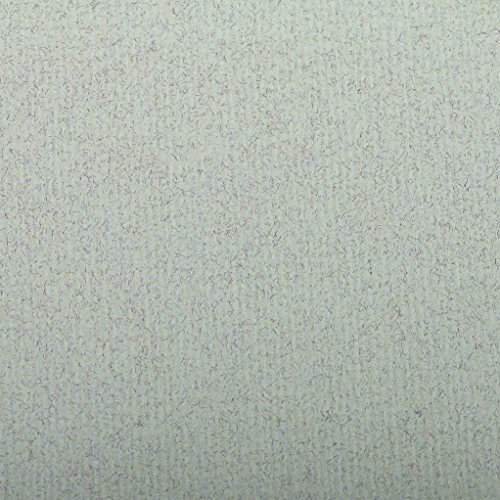 Clairefontaine 93514C Packung (mit 25 Blätter, 130 g, Ingres Pastell Papier, gekörnt, 50 x 65 cm, ideal für Trockentechnik) grau