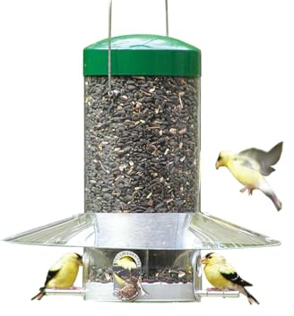 Birds Choice Classic Hanging Bird Feeder with Weatherguard Baffle | Green