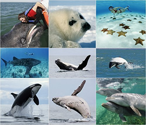 Set di cartoline con animali 3D (9 cartoline) con cartoline 3D di delfini, Galles, Walhai, Orca (balena della spade), ideale per collezionisti e postcrossing
