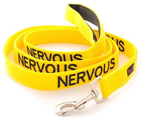 Dexil NERVOUS (Give Me Space/Maybe Unpredictable) Yellow Warning Dog Colour Coded Luxury Padded Personalised 1.8m 6ft Lead Leash To Prevent Accidents or Incidents. Dog Award Winning