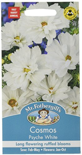Mr. Fothergill's Cosmos Psyche White Flower Seeds