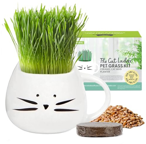 The Cat Ladies Hierba Gatera para Gatos - Kit Hierba para Gatos con Semillas Hierba Gatera para Interiores con 1x Disco de Tierra y 1x Taza con Forma de Gatito - Set Hierba Gatos