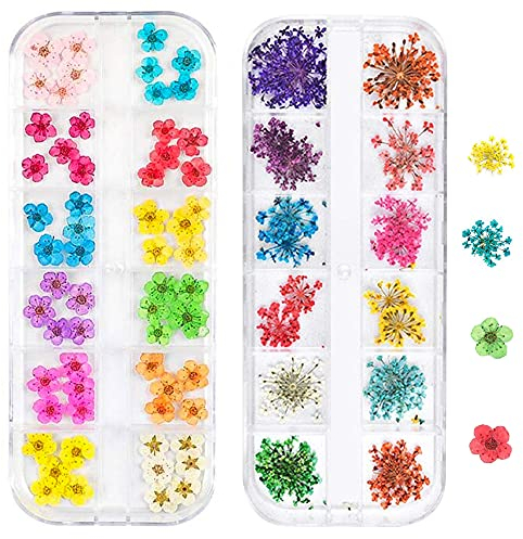 3D Nail Dried Flowers Sticker Set, CHANGAR Real Dried Flowers for Nail Art & Resin Craft DIY Five Petal Flower Leaf Gypsophila Dry Flower Nail Art Decoration Kits(2 Boxes)