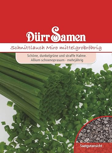 Dürr-Samen - Schnittlauch Mittelgrobröhrig Miro Saatgut