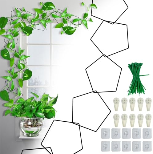 SENIURIS Treillis à chaîne pentagone pour plantes grimpantes, accessoires de plantes d'intérieur pour vignes, pothos et treillis mural de jardin, support de plantes d'intérieur et d'extérieur avec