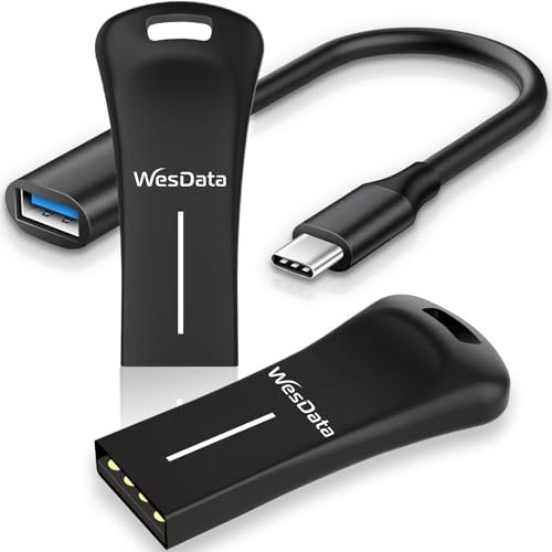 WesData 2-Pack 64GB Small USB Flash Drives with 1 USB C Adapter Cable, Zinc Alloy Metal Shell, Thumb Drive, Memory Stick, Pen Drive for PC/Mac/Phone/Laptop/Car Black