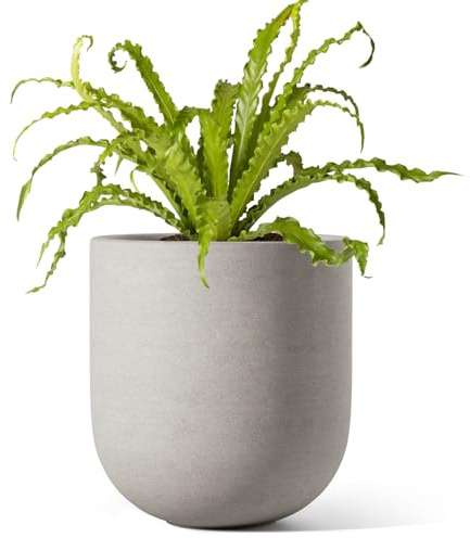 LE TAUCI 15 cm Plant Pot, Ceramic Pot with Drainage Hole & Rubber Plug, Indoor Planter for Herbs & Small Houseplants, Cylinder Planter for Home Office, Gray