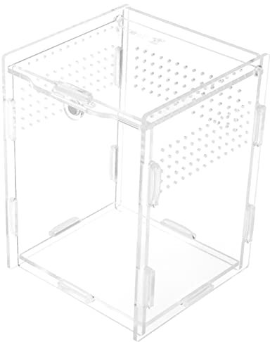 Kisangel Futterbox Aus Acryl Für Reptilien – Zubehör Für Reptilienbecken Beobachtungszuchtbox Für Haustierreptilien