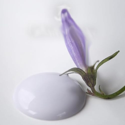 Vintage Paint Pintura a la tiza, 700 ml, pintura tiza Eco Label, respetuosa con el medio ambiente, soluble en agua, cubriente para muebles infantiles, barnices de tiza para muebles, pintura para