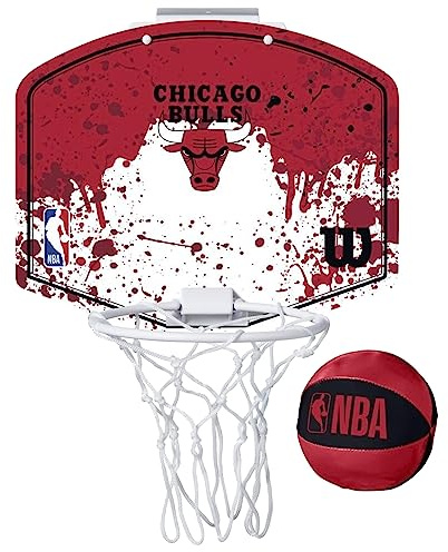 Wilson NBA Team Mini Hoops