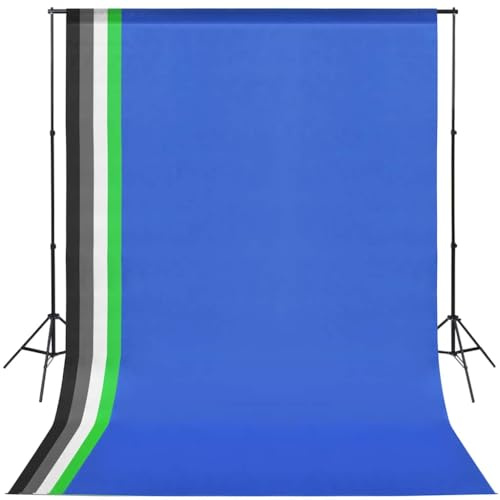 Fotostudioset med 5 färgade bakgrunder, höjdjusterbara stativ, 2 dagsljuslampor 5 500 K, 2 skärmar, aluminiumupphängning och bärväska för studiofotografering och