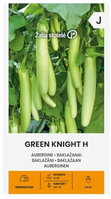 Zalia stotele | Auberginen - GREEN KNIGHT H samen| Gemüsesamen | Pflanze samen | Eine frühe, ertragreiche und krankheitsresistente Hybride | Auberginensamen | Gardensamen | 1 Pack