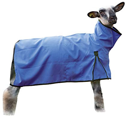 Weaver Leather Livestock Sheep Blanket, Mesh Butt, Extra-Small, Blue