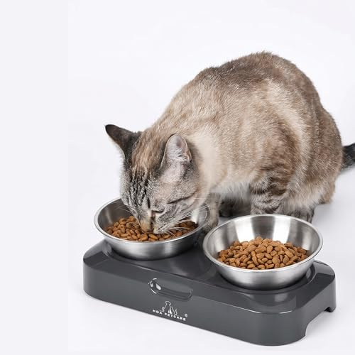 H&A PETCARE Raised Cat Bowls With Stand | Elevated Cat Bowls | Cat Bowls With Stand Tilted | Cat Feeding Station.