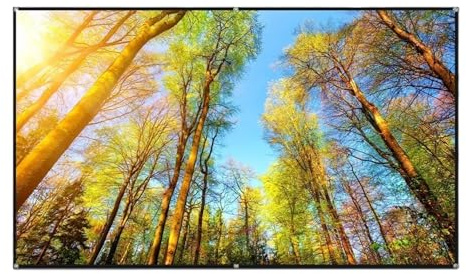 DTYBJN écran de Projection motorisé Écran de Projection Anti-lumière en métal Haute définition pour cinéma Maison, 30-133 Pouces, Taille Multiple écran de Projection(72 inch)